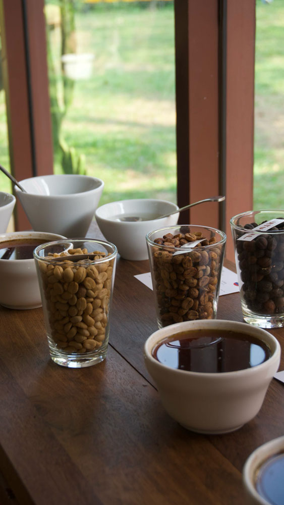 Coffee Beans_04