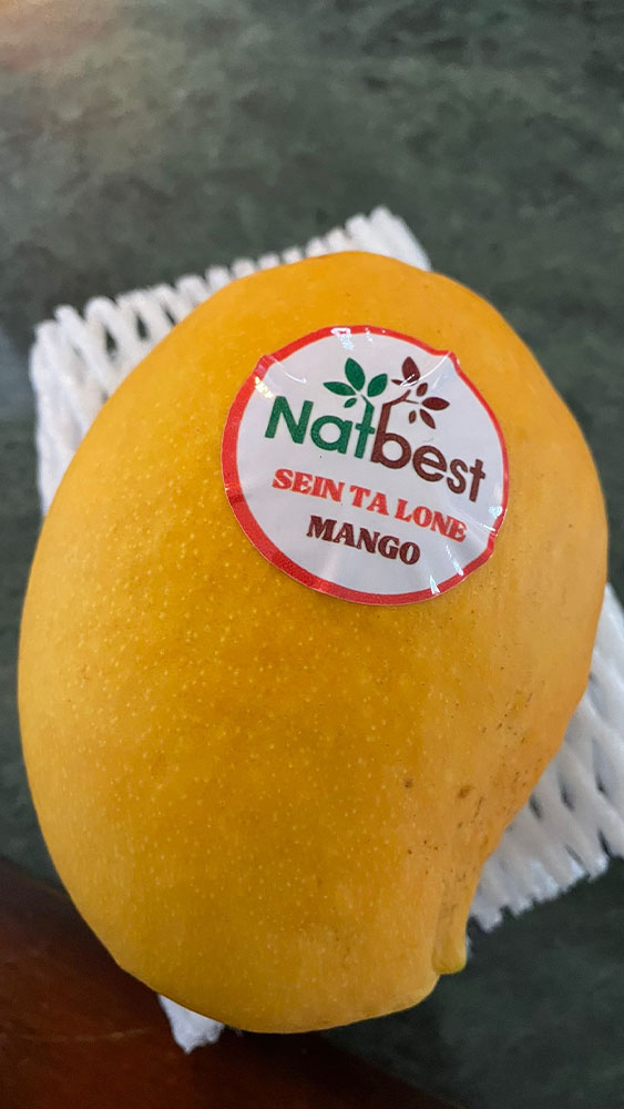 Mango_04
