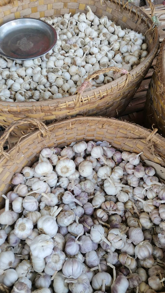 Spices_01
