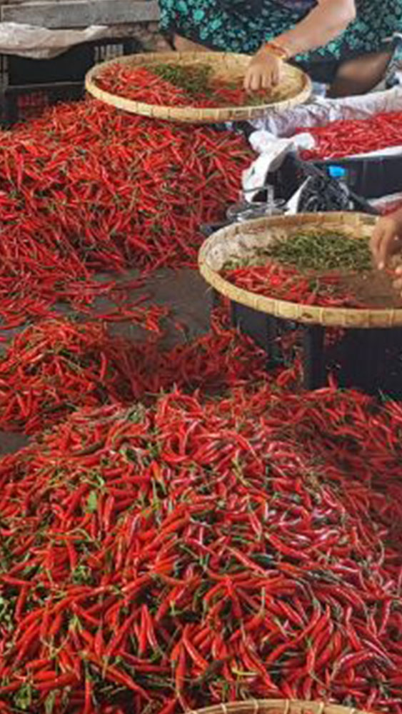 Spices_02